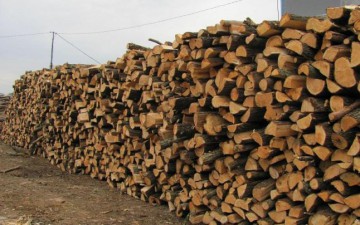 Constanța: Se distribuie ajutoarele pentru încălzirea cu lemne