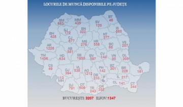 Peste 20.000 de joburi disponibile la nivel național! Iată câte sunt la Constanța