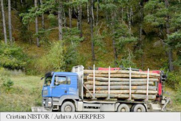 PwC: În România există o imagine artificială legată de defrişările masive