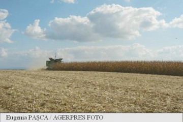 Terenurile agricole, afectate de secetă