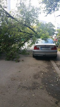 Un copac A CĂZUT peste o mașină în zona CET!