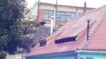 Iohannis: Am urmărit stupefiat imaginile cu ursul împuşcat