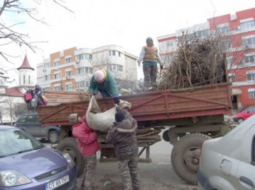 Mobilizare generală a angajaţilor de la Spaţii Verzi!
