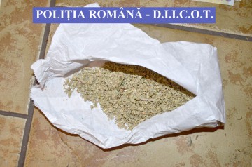 Grupare de traficanţi de droguri, destructurată cu ajutorul poliţiştilor constănţeni