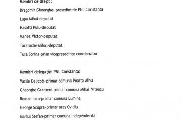 PNL se reuneşte pentru a valida preşedinţia unică a partidului. Cine participă de la Constanţa