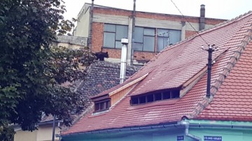 IMAGINI DRAMATICE cu ursul împuşcat MORTAL după ce a fost surprins în centrul oraşului - VIDEO