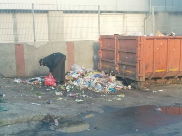 Mormane de gunoaie zac în spatele unui supermarket din Constanţa