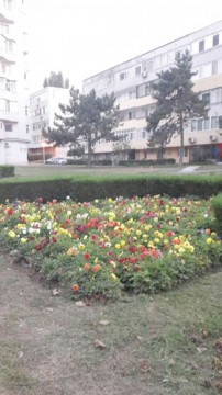 PUZ-ul din Tomis II, anulat de instanţă