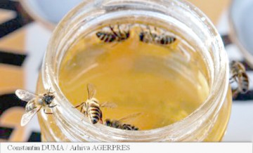 Piaţa internaţională a mierii, plină de produse contrafăcute