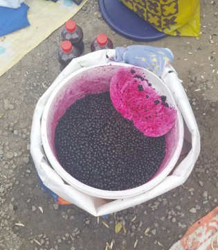 Mare atenţie, constănţeni! „Afine” toxice, vândute la colţ de stradă!