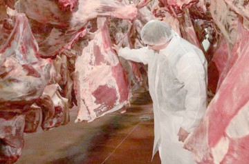 Bacteria E. coli, depistată în alimente în mai multe judeţe