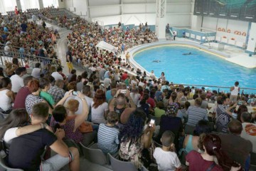 Intrare liberă la Delfinariu, de Ziua Dobrogei