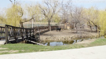Complexul Muzeal de Ştiinţe ale Naturii caută îngrijitor de animale