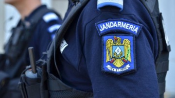Jandarmii vor avea voie să folosească arme cu tranchilizante pentru îndepărtarea animalelor