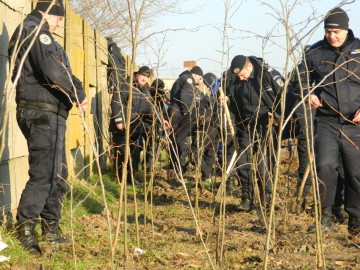 Jandarmii constănţeni au plantat 600 de puieţi