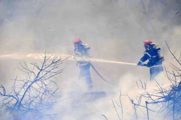 Constanţa, în topul IGSU la incendiile de vegetaţie uscată