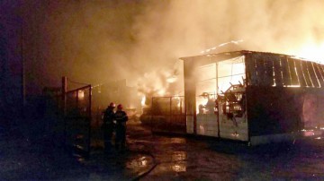 De la ce a pornit incendiul devastator de la Agigea