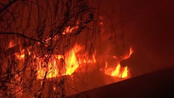 Incendiu pe malul lacului Siutghiol!