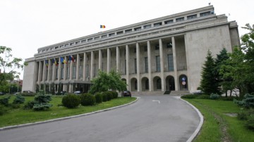 Guvernul finanţează realizarea unui studiu privind românii din diaspora