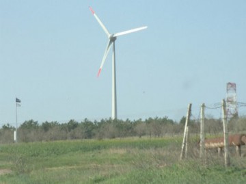 Parcul eolian de la Cogealac, iertat de o datorie de 1 miliard de lei