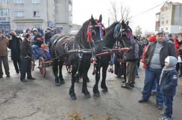 Concurs cu cai în Kogălniceanu! Iată când va avea loc
