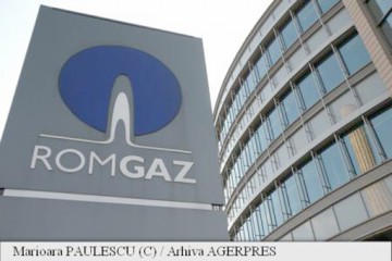 Romgaz a contestat în instanță opt puncte din concluziile raportului Curții de Conturi