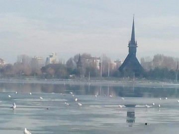 Constănţenii care merg în Parcul Tăbăcărie vor beneficia de Wi-fi