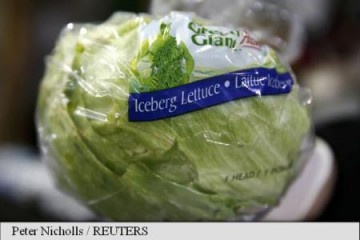 Supermarketurile din Marea Britanie raționalizează salată și brocoli
