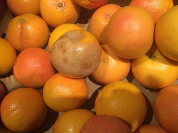 Sute de kilograme de legume şi fructe mucegăite, descoperite de inspectorii ANPC în marile supermarketuri
