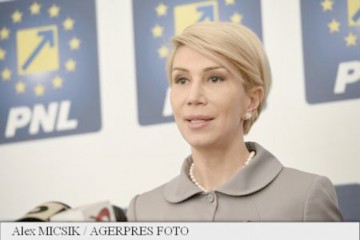 Turcan: Atacurile PSD la adresa capitalului privat confirmă haosul din gândirea economică a Guvernului