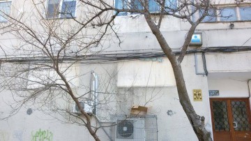 Constănțeanul care hrănea porumbeii sălbatici, ATENȚIONAT de polițiștii locali