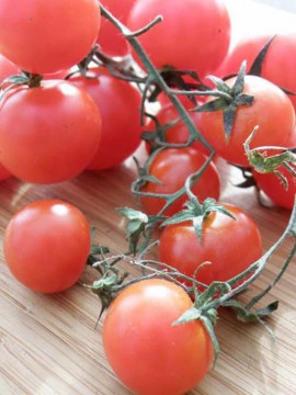 Tuzla: ajutoare financiare pentru cei care cultivă tomate