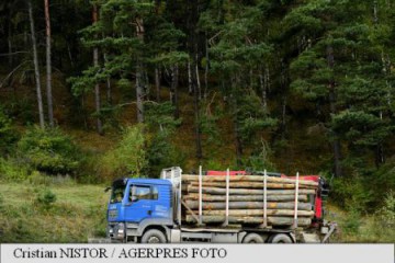 Forest Stewardship Council se disociază de Schweighofer