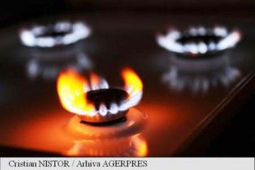 Probleme pentru un viitor furnizor de gaze naturale