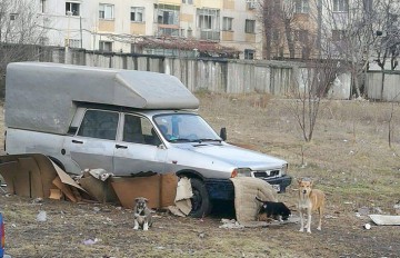 Autoturism abandonat, casa câinilor maidanezi din Inel II