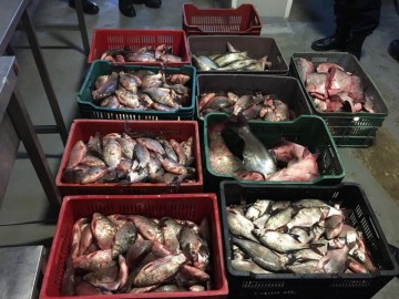 Dosar penal pe numele unui tânăr din Aliman