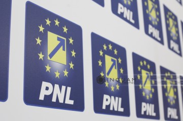 PNL îşi alege noua conducere în 17 iunie; alegerile în filialele judeţene se vor încheia pe 2 mai