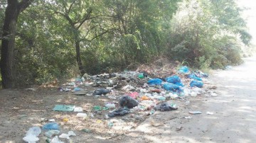 Acţiune de ecologizare, la Constanţa