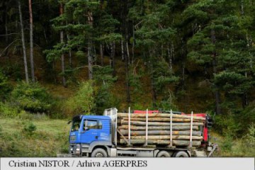 Transportul de lemn blocat în județul Argeș de către activiștii de mediu este autorizat și legal