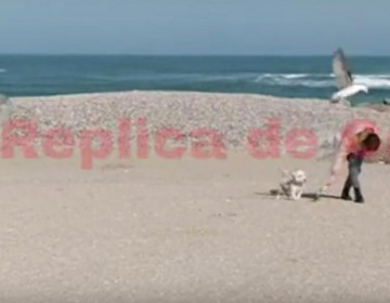 Pescăruşul Vasile se ceartă cu presa!