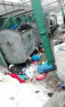 DEZASTRUL de la ghene! Scormonitorii din tomberoane, ATENTAT LA SĂNĂTATE PUBLICĂ!