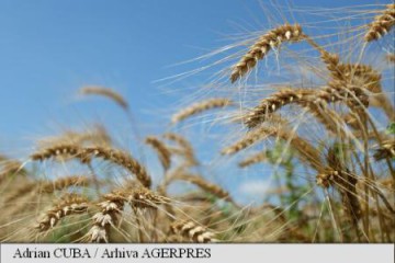 Alocare financiară de circa două miliarde de euro pentru investițiile în agricultură, în 2017
