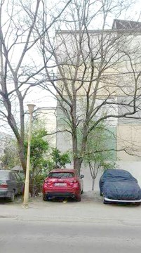 Pomii putreziţi de pe o stradă din Constanţa blochează accesul pe locurile de parcare