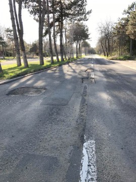 Vicepreşedintele ALDE Mangalia şterge pe jos cu primarul şi consilierii locali!