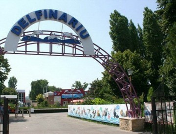 Un copil de 10 ani a căzut cu un leagăn de lemn din cadrul Complexului Muzeal! Iată ce spune directorul