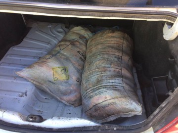 Zeci de kilograme de pește, confiscate la Băneasa