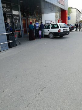 Bizonii au ieşit la cumpărături: cu maşina, în buza magazinului!