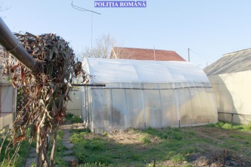S-a dat startul arestărilor în cazul traficului de droguri din buricul Constanţei