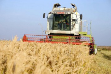 AFIR a încheiat contracte de finanţare prin care se acordă fonduri nerambursabile de 1,5 miliarde de euro
