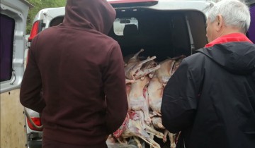Autoutilatara unui constănțean, percheziționată! Iată ce au găsit polițiștii!